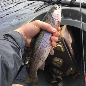 Meet your Posher, Sean